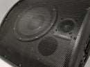Santon Audio FL-110 Compact 10" Floor Monitors